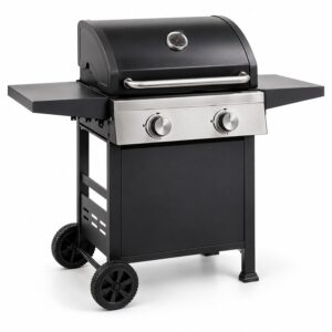Asador a gas de 2 quemadores